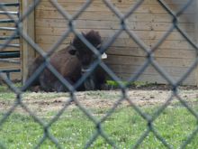 Vacation 2008 059.jpg
