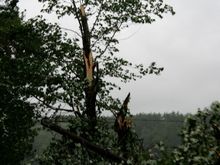 IMG_6370.JPG.jpg