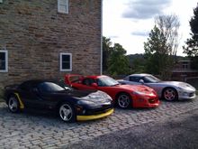 vipers1.jpg