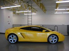 Lambo 8-16-08 028.jpg