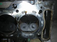 DSCN0102.JPG