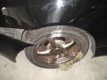 DSC02943 (Medium).JPG