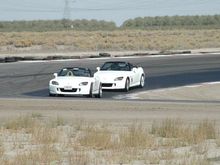 DSC_4566.JPG