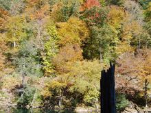 DSC_0039.JPG