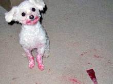 lipstick.jpg