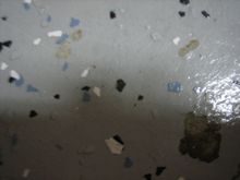 IMG_3430.jpg