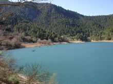 DSC01554_resize.JPG