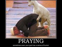 prayergoat.jpg