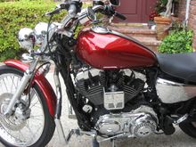 IMG_0085.JPG