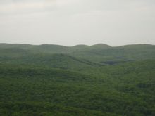DSC01409.JPG