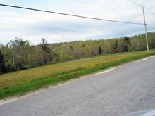 DSC03471h.jpg