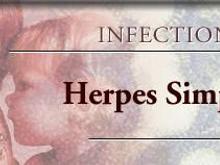 herpes_simplex_infect1.jpg