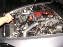DSC01461.JPG