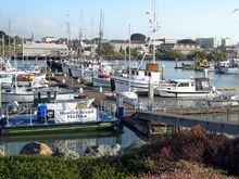 13 harbor.jpg