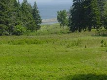 View from Digs sm.JPG