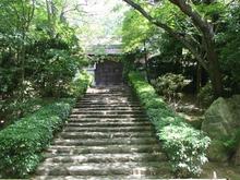 IMG_1197 (Large).JPG