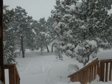 DSC_8229.JPG