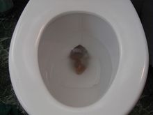 bowl of nutz2.jpg