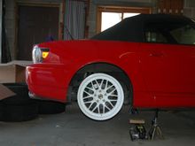 DSC_8110.JPG