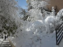 DSCN0096.JPG