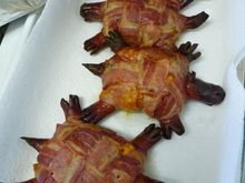 Bacon Turtleslg.jpg