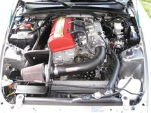 IMG_1368.jpg