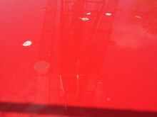 DSC000361.jpg