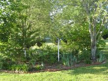 IMG_1324.JPG