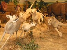 DSCN0380.JPG