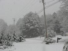 IMG_1621.JPG