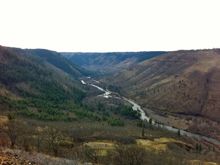 IMG_0304.jpg
