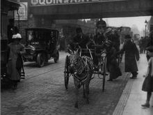zebra carriage