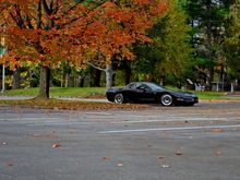 DSC 0540e