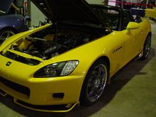 DSC00683.jpg
