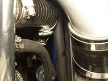 Routing of hoses to intake from BOV and PCV