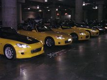DSCN0593.jpg