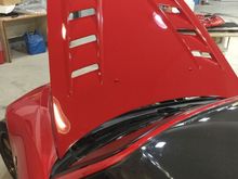 gallery_41551_31890_1179610.jpeg
