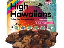 High_Hawaiians_Psilocybe_Tampelandia_2885.jpg.ashx.jpeg