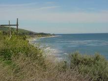 beach2sm.JPG