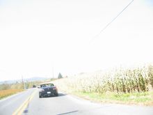 111-1151_IMG.JPG