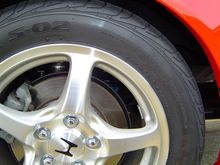 DSC00393.JPG
