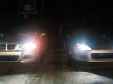 IMG_0113.jpg