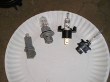 bulbs.JPG