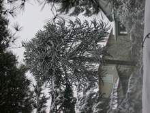 DSCN6743.JPG