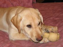 3maggie02-1.jpg