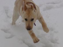 Maggie2-21-3.jpg