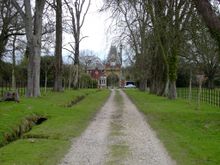 KIF_0269.JPG