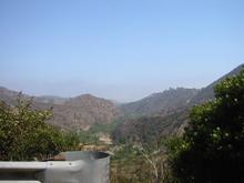 104-0432_IMG.JPG