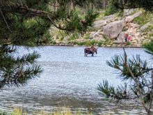 ^8-8-2023.  Sprague Lake in Rocky Mountain National Park, Colorado.

