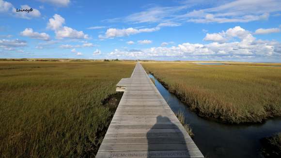 Boardwalk to access another boardwalk to get to Boardwalk Beach